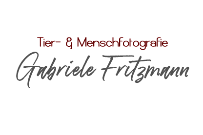 Tier- und Menschfotografie Gabriele Fritzmann